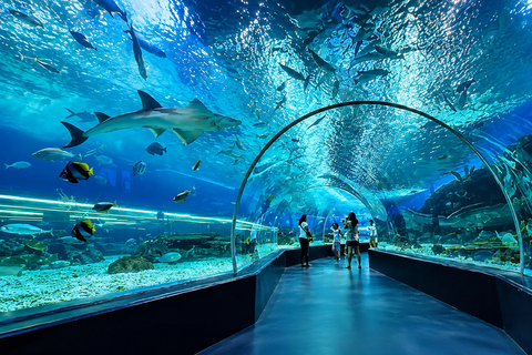 Cebu: Ocean Magic & Anjo World Family Escape