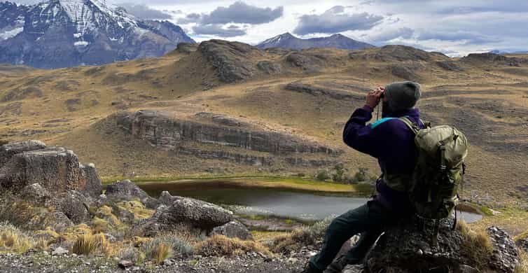 Galería de fotos para redes