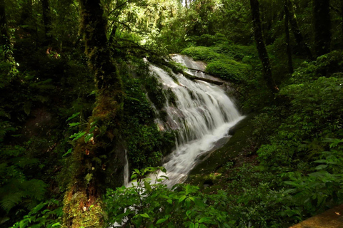 Doi Inthanon &amp; Kew Mae Pan: Natur, kultur och äventyr