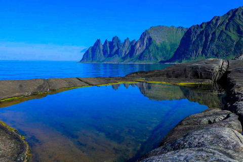 Från Tromsö: Dagsutflykt till Senja