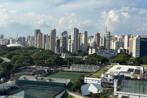 São Paulo's Best Attractions: 5h Private Tour (Hotel Pickup) São Paulo Best Attractions: 8h Private Tour