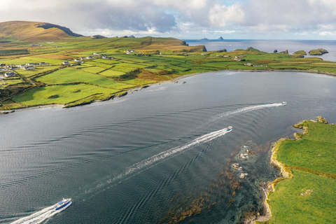Skellig Michael: Great Skellig Panoramic Boat Tour