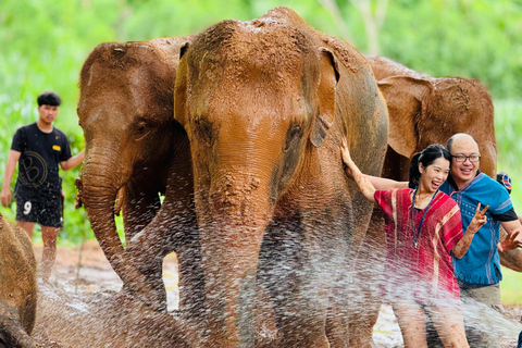 Chiang Mai: Tempel, natuur en cultuur in één dag.Olifantenopvang en Doi Suthep Tour.