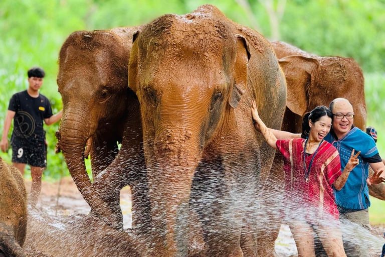 Chiang Mai: Tempel, natuur en cultuur in één dag.Olifantenopvang en Doi Suthep Tour.