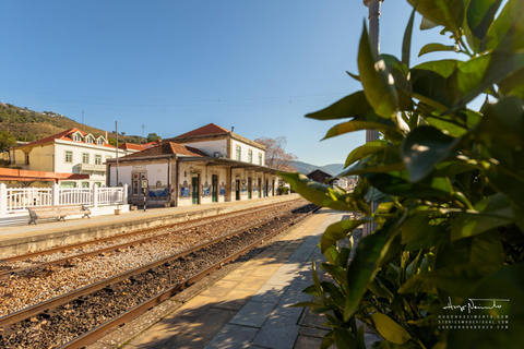 Douro Valley: Private Wine Tour with Lunch