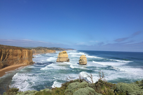 Private Tour of the Great Ocean Road & 12 Apostles