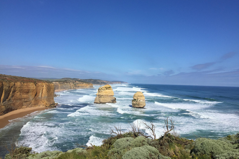 Private Tour of the Great Ocean Road & 12 Apostles