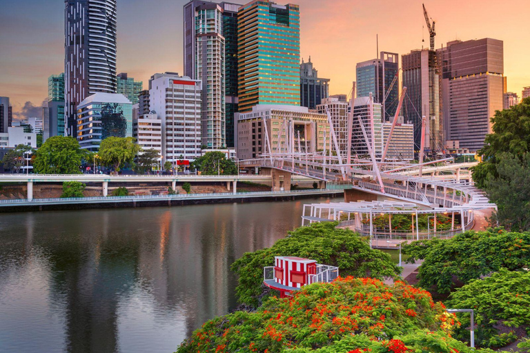 Visite à pied de Brisbane à découvert