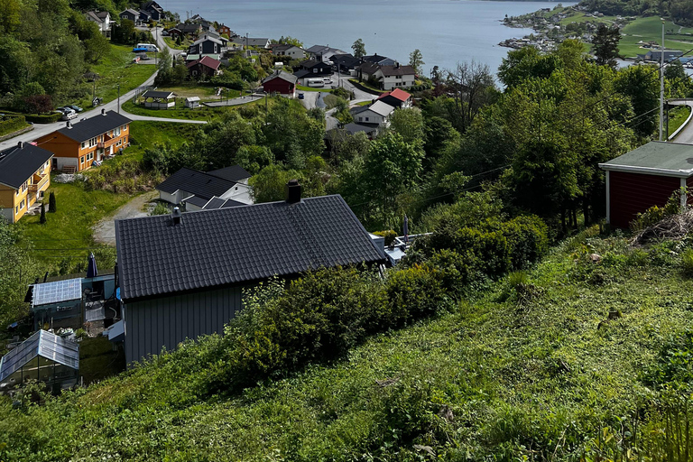 Bergen: Privat tur i staden med det bästa av HardangerfjordenBergen: Privat guidad stadstur och det bästa av fjordarna.