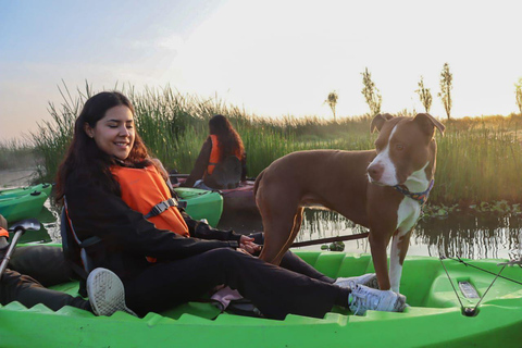 Tour in kayak a Xochimilco: campi di calendula e sapori del giorno dei mortiTour in kayak all'alba a Xochimilco