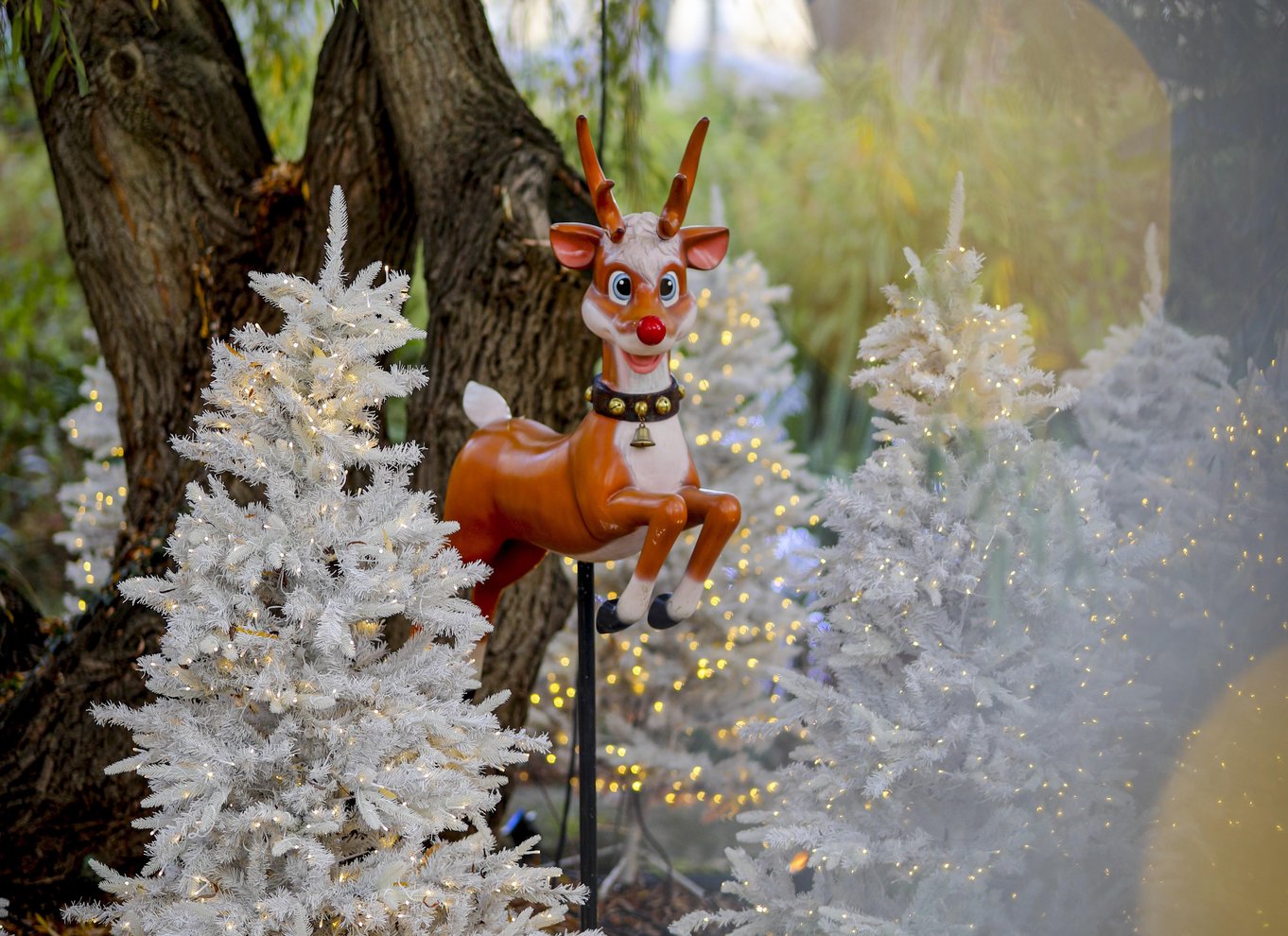 Paris: Jardin d'Acclimatation 1-dags Unlimited Pass