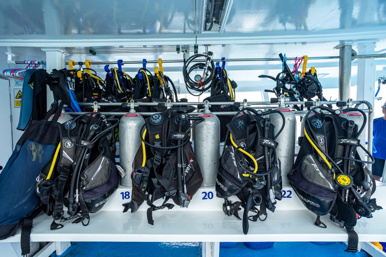 Similan 2Day-1Night Onboard MV Koon Scuba Dive or Non-Dive From Phuket Similan MV Koon Scuba with Dive - Sharing Room