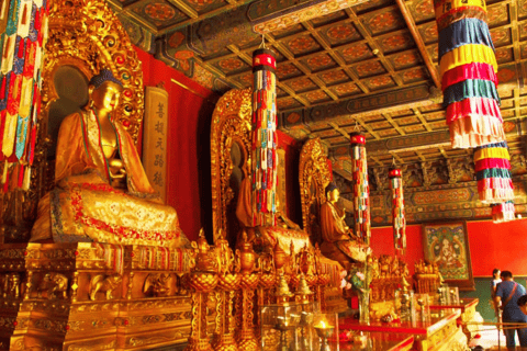 Peking: Lama-Tempel (Yonghe-Tempel) Eintrittskarte