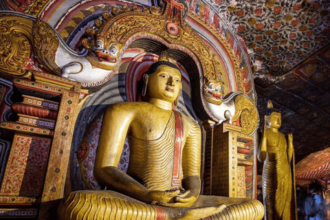 Dambulla: Sigiriya, Polonnaruwa, and Cave Temple Day Trip