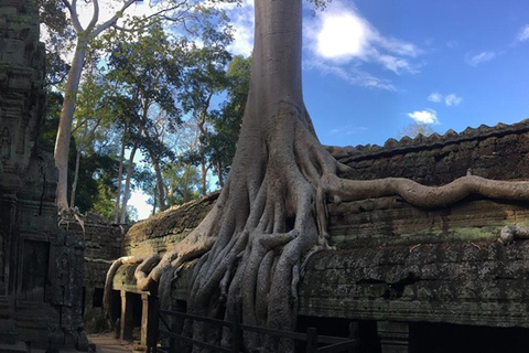 Excursão de 1 dia a Angkor e ao Lago Tonle Sap