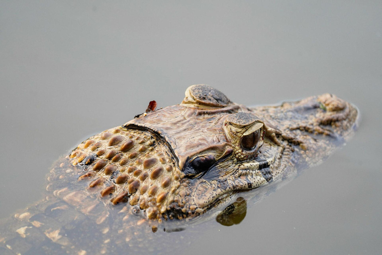 Puerto Maldonado: tour nocturno en barco por el río TambopataPuerto Maldonado: Tour nocturno en barco por el río Tambopata