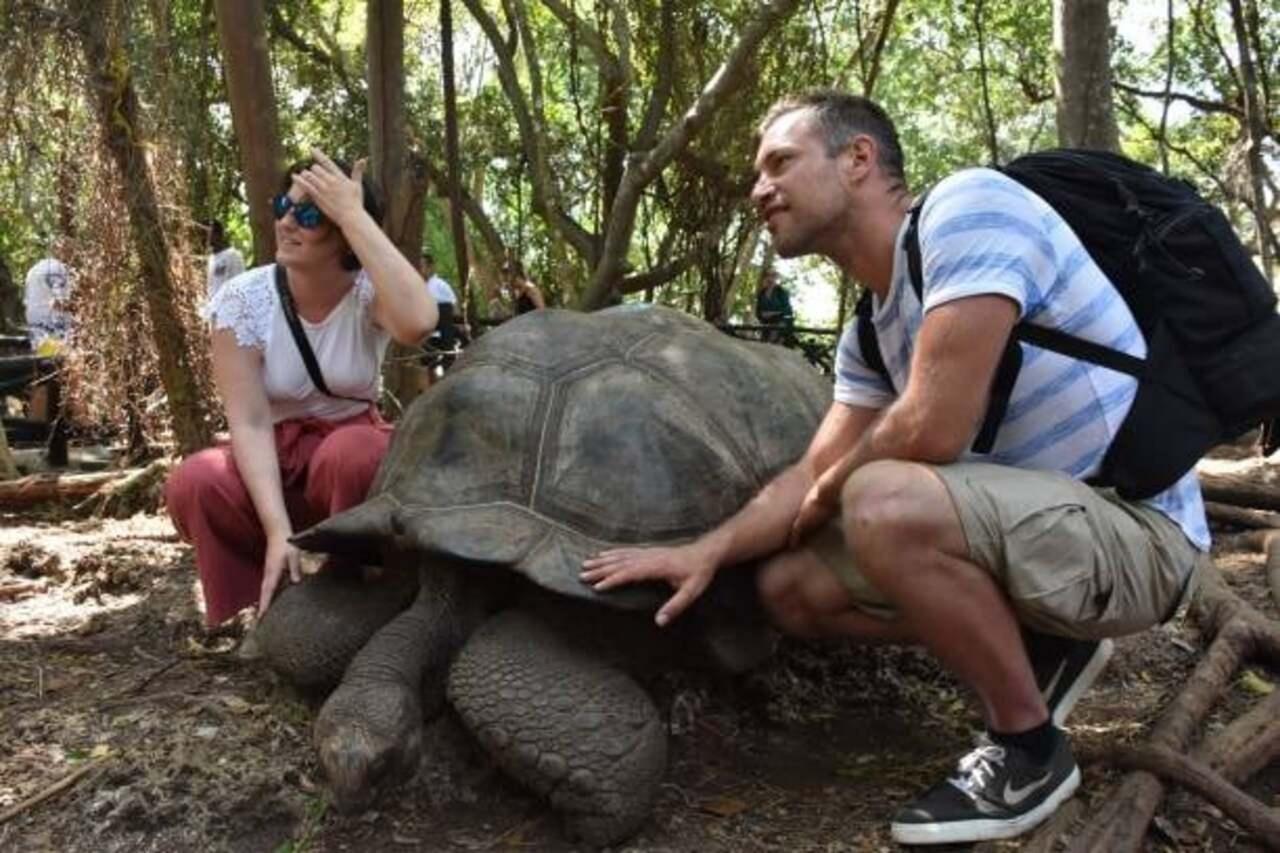 São Tomé: Tour zu einer Kakao- und Kaffeeplantage mit Verkostungen