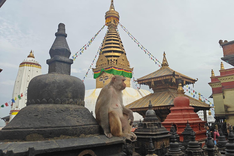 Kathmandu: Buddhist Stupas Tour with Kapon Monastery Visit