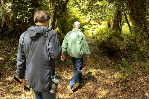 Te Anau: Kepler Heli Hike (unguided)