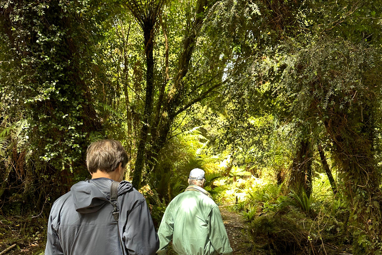 Te Anau: Kepler Heli Hike (unguided)