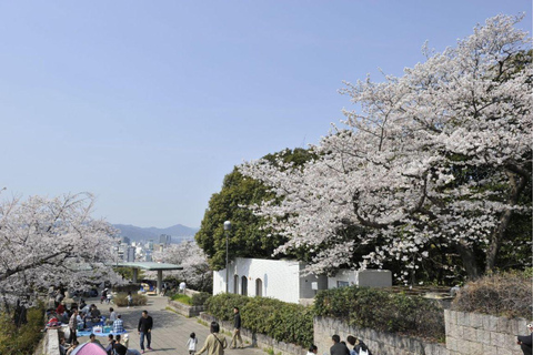 Hiroshima & Miyajima: Private Day Tour with English Guide