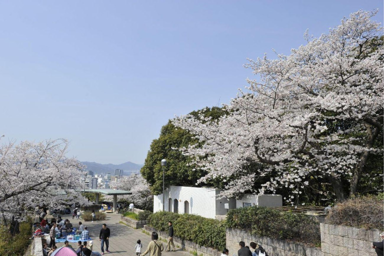 Hiroshima & Miyajima: Private Day Tour with English Guide