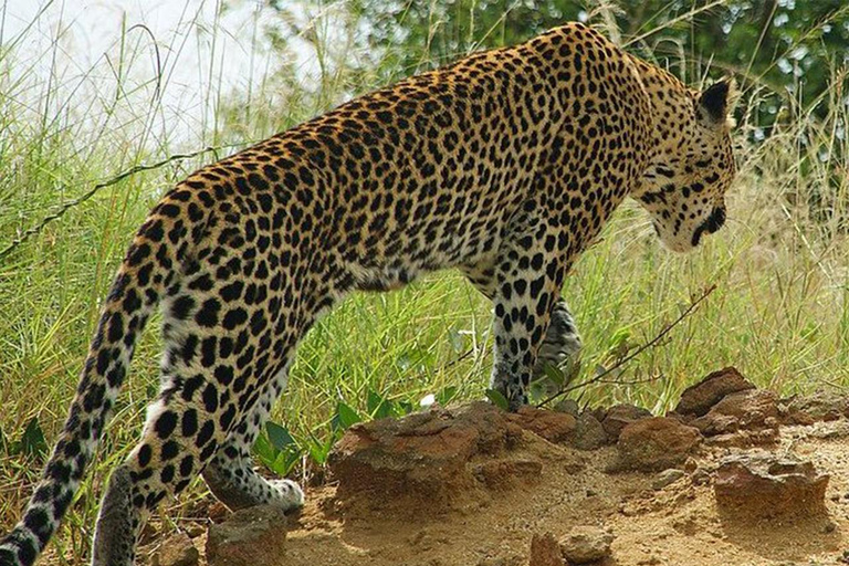 3 Day Refreshing Your Mind in Queen Elizabeth NP, Lake Mburo3 Days Refreshing Your Mind in Queen Elizabeth NP