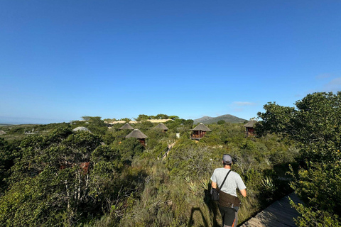 2-Day Safari with Big 5 Game Drives, at amazing 4-Star Lodge Wildlife Lions Safari 2-day Garden Route