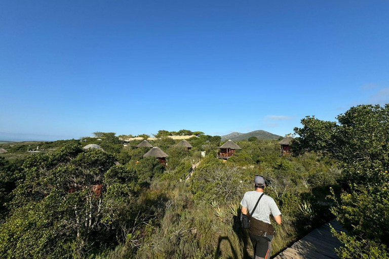 2-Day Safari with Big 5 Game Drives, at amazing 4-Star Lodge Wildlife Lions Safari 2-day Garden Route