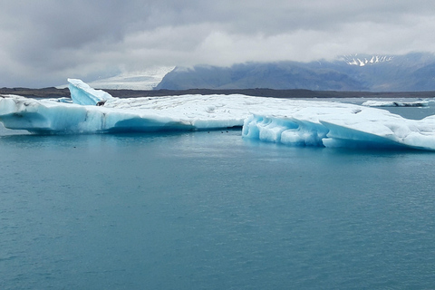 Glacier Lagoon and Diamond Beach Private Tour from Reykjavik