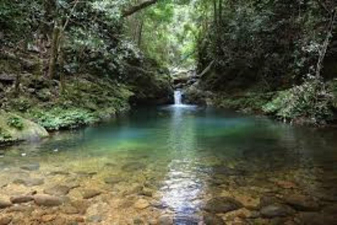 Tour di trekking di un&#039;intera giornata al Parco Nazionale Bach Ma dalla città di HueTREKKING DI INTERA GIORNATA AL PARCO NAZIONALE DI BACH MA DALLA CITTÀ DI HUE