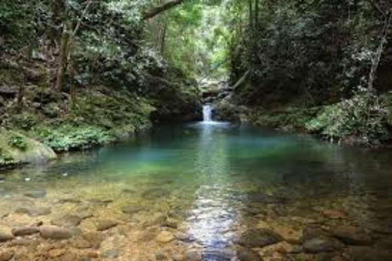 Tour di trekking di un&#039;intera giornata al Parco Nazionale Bach Ma dalla città di HueTREKKING DI INTERA GIORNATA AL PARCO NAZIONALE DI BACH MA DALLA CITTÀ DI HUE