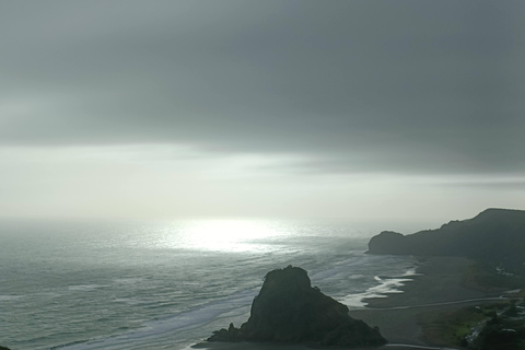 “City & Coast & Country” – A Relaxed Day Tour from Auckland “City & Coast & Country” – A Relaxed Day Tour from Auckland