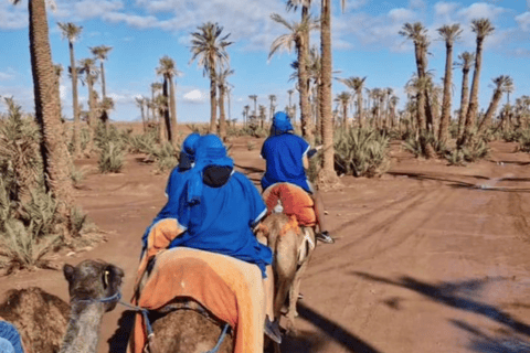 Marrakech : balade en chameau à la palmeraieMarrakech : balade en chameau de 3 h à la palmeraie