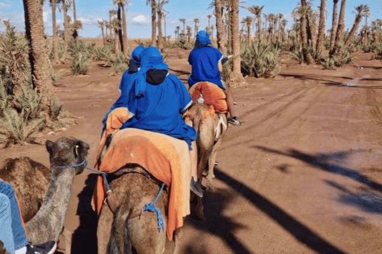 Marrakech : balade en chameau à la palmeraieMarrakech : balade en chameau de 3 h à la palmeraie