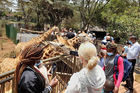 Parco nazionale di Nairobi, orfanotrofio degli elefanti e centro delle giraffe.Parco nazionale di Nairobi, orfanotrofio degli elefanti centro delle giraffe