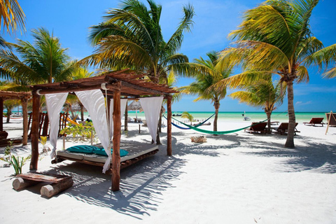 Holbox : boat tour, golfcart, beach club, pick up available Holbox tour from Cancun hotel zone , Costa mujeres, downtown