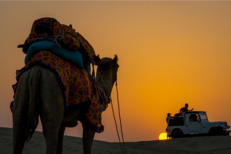 Au départ de Jodhpur : 2 jours d'excursion à Jaisalmer en voitureVisite en voiture et chauffeur uniquement (sans guide)