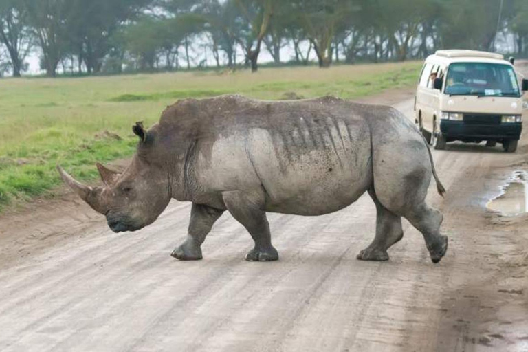 Det bästa av nationalparkerna Masai Mara och Lake Nakuru