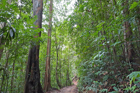 辛哈拉加雨林之旅