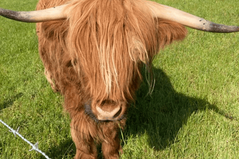 Inverness : Loch Ness, Culloden et château de Cawdor visite privée