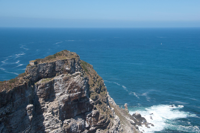 Cidade do Cabo: Excursão particular de 1 dia à Península do Cabo com guia local