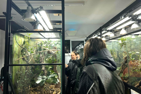 Zoológico de Wellington - Animales de Aotearoa - Visita en grupoZoológico de Wellington - Tour en grupo «Animales de Aotearoa»