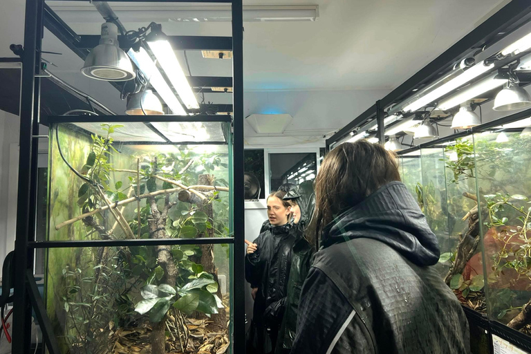 Zoológico de Wellington - Animales de Aotearoa - Visita en grupoZoológico de Wellington - Tour en grupo «Animales de Aotearoa»