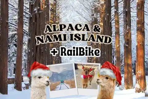 Сеул: Alpaca World и остров Нами (+велорельсовый велосипед в Канчоне)