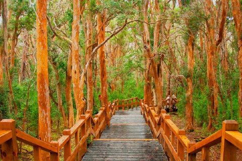 Patagonia in a Day: VIP Escape to Bariloche from Buenos Aires Patagonia in a Day: VIP Getaway to Bariloche from Buenos Aires