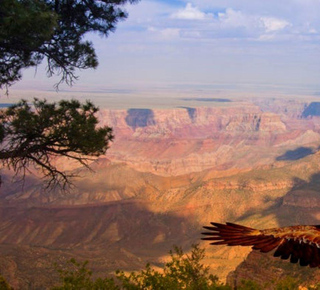 Grand Canyon West y Skywalk: Entradas y visitas guiadas