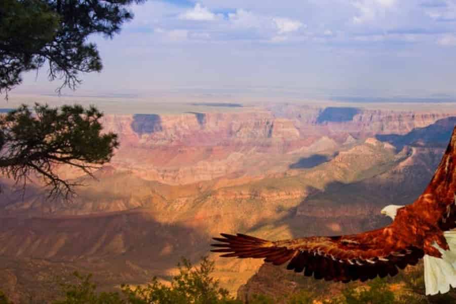 Grand Canyon West: 1-Tages-Eintrittskarte. Foto: GetYourGuide
