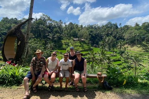 Ubud: Private Half-Day Tour Rice Terrace, Temple & Waterfall Private Half-Day Tour (With Entrance Tickets)