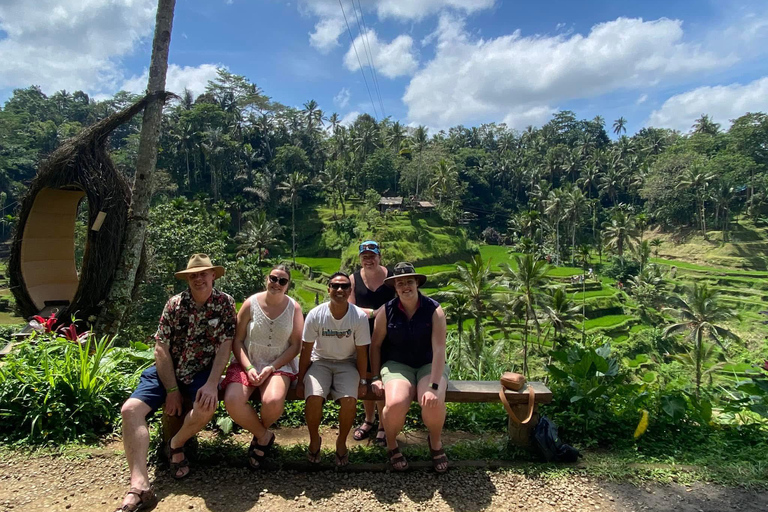 Ubud: Private Half-Day Tour Rice Terrace, Temple & Waterfall Private Half-Day Tour (With Entrance Tickets)